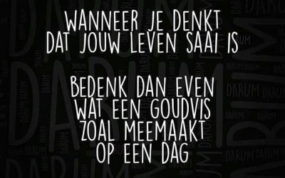 Duurzaamheidsdebat