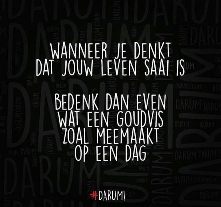 Duurzaamheidsdebat