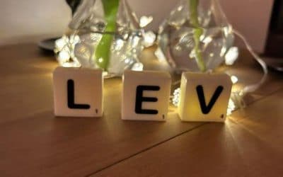 Zet LEV in de 3 letter positie