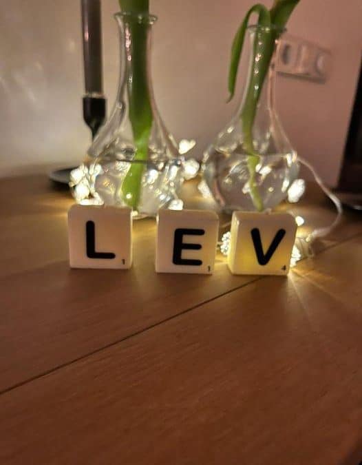 Zet LEV in de 3 letter positie